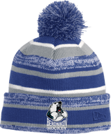 Berdnikov Bears New Era Sideline Beanie